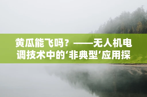 黄瓜能飞吗？——无人机电调技术中的‘非典型’应用探索