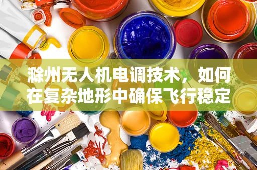 滁州无人机电调技术，如何在复杂地形中确保飞行稳定？