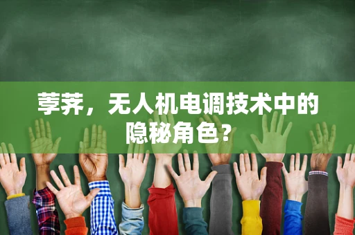 荸荠，无人机电调技术中的隐秘角色？