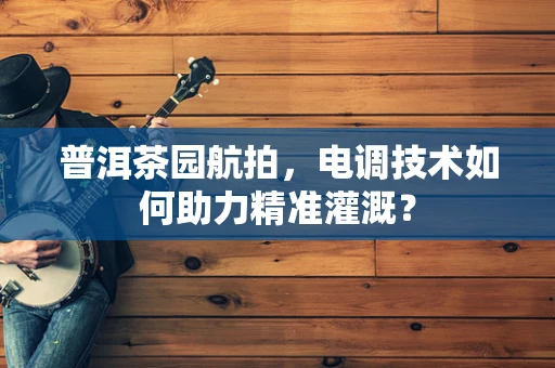 普洱茶园航拍，电调技术如何助力精准灌溉？