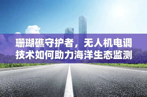 珊瑚礁守护者，无人机电调技术如何助力海洋生态监测？