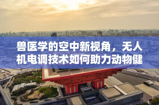 兽医学的空中新视角，无人机电调技术如何助力动物健康监测？