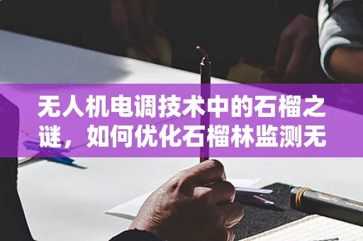 无人机电调技术中的石榴之谜，如何优化石榴林监测无人机的电调性能？