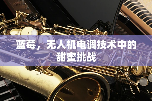 蓝莓，无人机电调技术中的甜蜜挑战