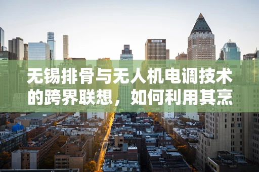无锡排骨与无人机电调技术的跨界联想，如何利用其烹饪原理优化飞行稳定性？
