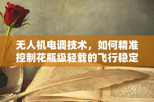 无人机电调技术，如何精准控制花瓶级轻载的飞行稳定性？