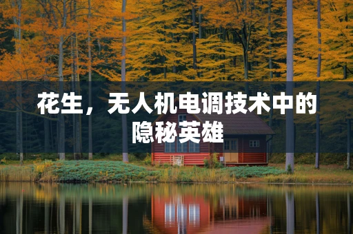 花生，无人机电调技术中的隐秘英雄