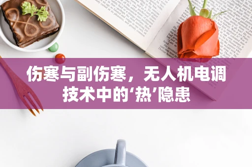 伤寒与副伤寒，无人机电调技术中的‘热’隐患