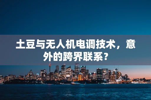 土豆与无人机电调技术，意外的跨界联系？