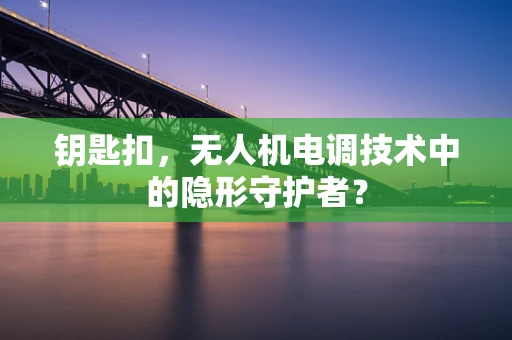 钥匙扣，无人机电调技术中的隐形守护者？