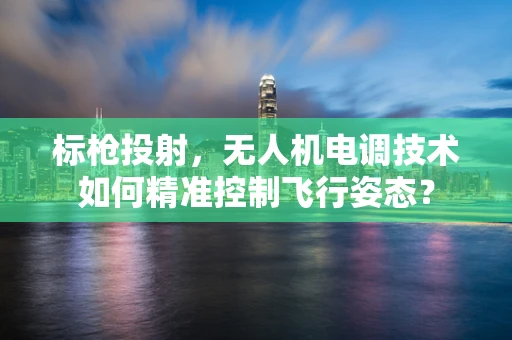 标枪投射，无人机电调技术如何精准控制飞行姿态？