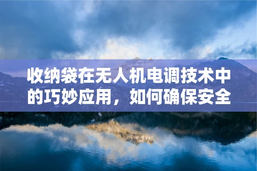 收纳袋在无人机电调技术中的巧妙应用，如何确保安全与效率的双重提升？