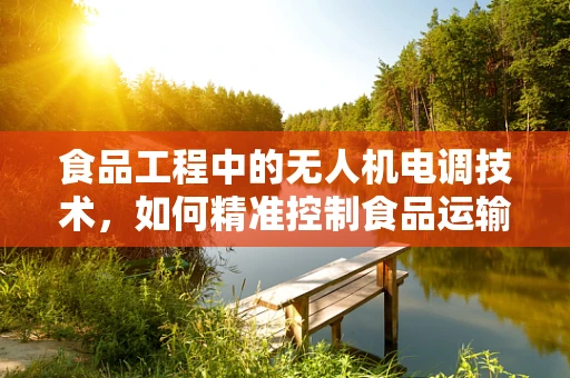 食品工程中的无人机电调技术，如何精准控制食品运输的‘心跳’？