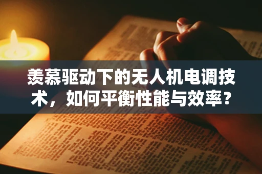 羡慕驱动下的无人机电调技术，如何平衡性能与效率？