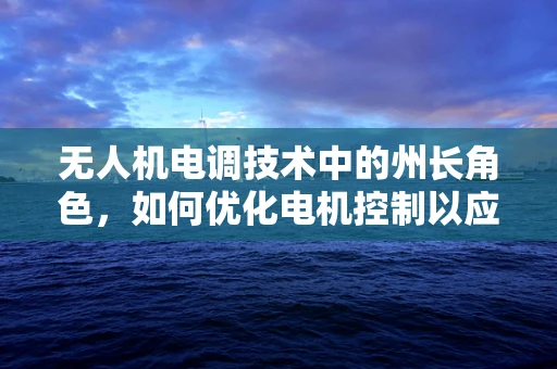 无人机电调技术中的州长角色，如何优化电机控制以应对复杂地形挑战？