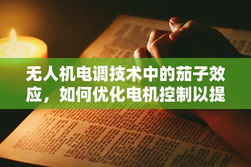 无人机电调技术中的茄子效应，如何优化电机控制以提升飞行稳定性？