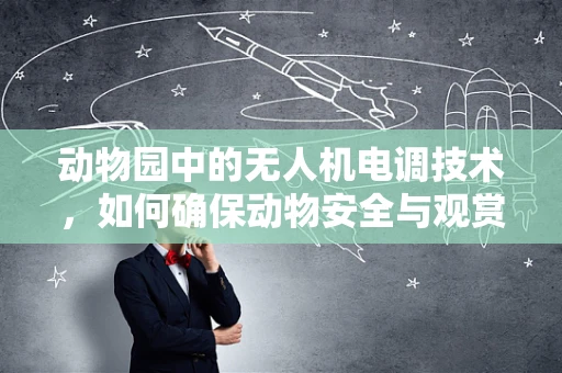 动物园中的无人机电调技术，如何确保动物安全与观赏体验？