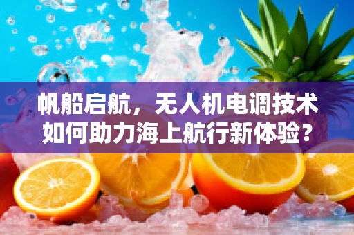 帆船启航，无人机电调技术如何助力海上航行新体验？