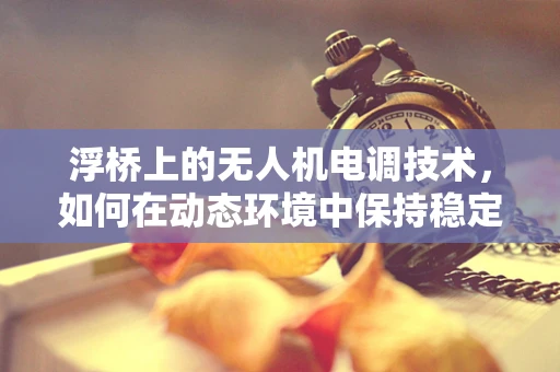 浮桥上的无人机电调技术，如何在动态环境中保持稳定？