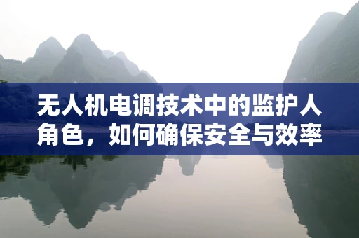 无人机电调技术中的监护人角色，如何确保安全与效率的双重保障？