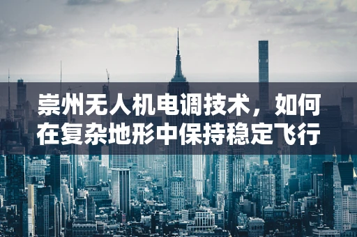 崇州无人机电调技术，如何在复杂地形中保持稳定飞行？