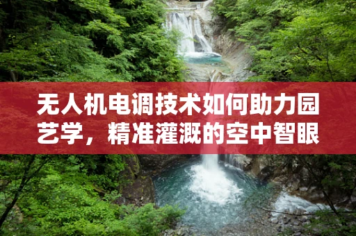 无人机电调技术如何助力园艺学，精准灌溉的空中智眼？