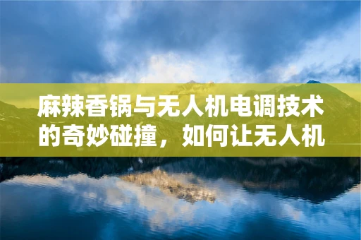 麻辣香锅与无人机电调技术的奇妙碰撞，如何让无人机在复杂环境味蕾更灵敏？