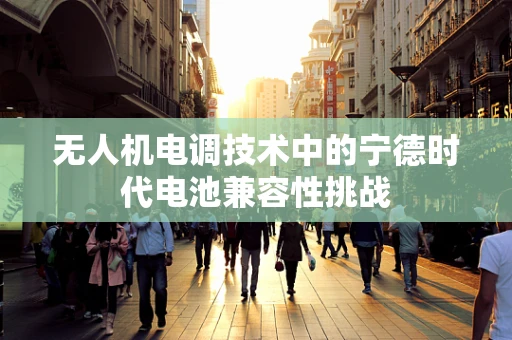 无人机电调技术中的宁德时代电池兼容性挑战