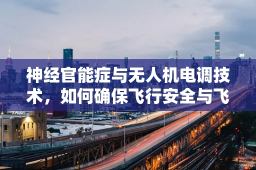 神经官能症与无人机电调技术，如何确保飞行安全与飞行员心理健康？