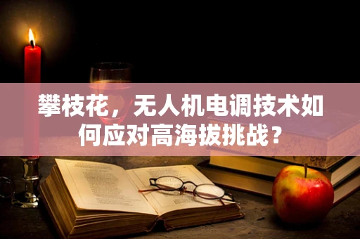 攀枝花，无人机电调技术如何应对高海拔挑战？