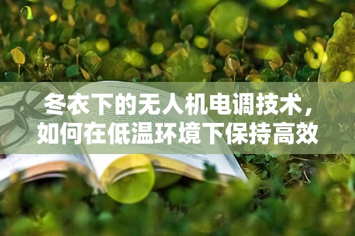 冬衣下的无人机电调技术，如何在低温环境下保持高效与安全？