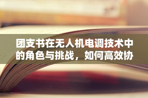 团支书在无人机电调技术中的角色与挑战，如何高效协调飞行任务？