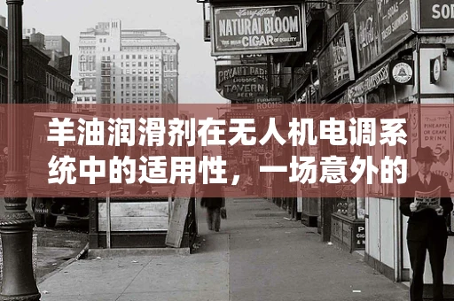 羊油润滑剂在无人机电调系统中的适用性，一场意外的技术探索？