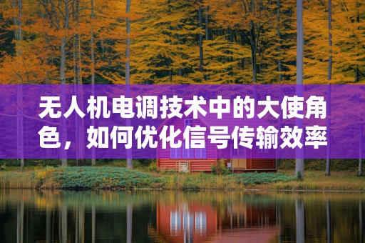 无人机电调技术中的大使角色，如何优化信号传输效率？