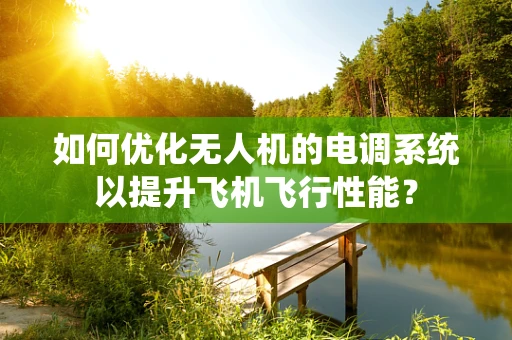 如何优化无人机的电调系统以提升飞机飞行性能？