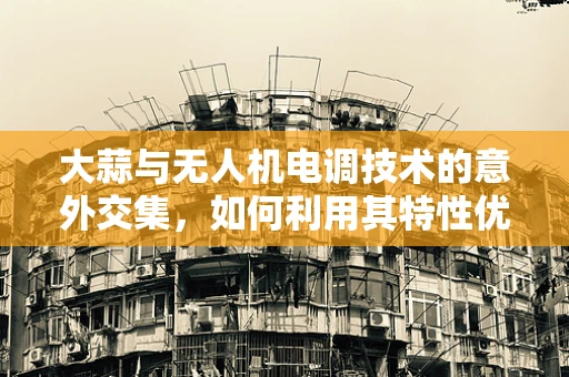 大蒜与无人机电调技术的意外交集，如何利用其特性优化飞行稳定性？