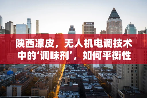 陕西凉皮，无人机电调技术中的‘调味剂’，如何平衡性能与风味？