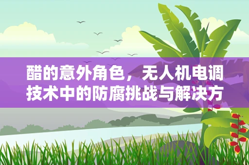 醋的意外角色，无人机电调技术中的防腐挑战与解决方案