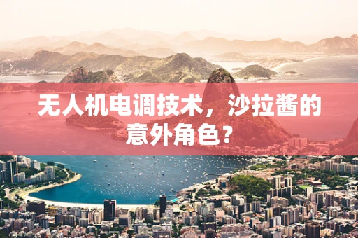 无人机电调技术，沙拉酱的意外角色？