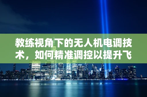 教练视角下的无人机电调技术，如何精准调控以提升飞行安全？