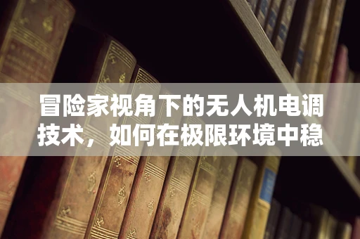 冒险家视角下的无人机电调技术，如何在极限环境中稳定飞行？