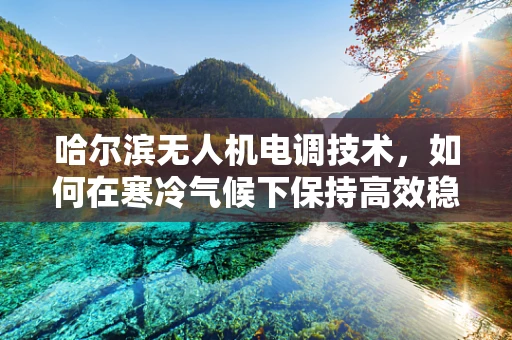 哈尔滨无人机电调技术，如何在寒冷气候下保持高效稳定飞行？