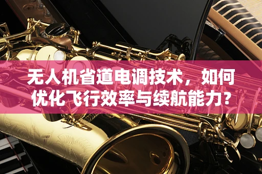 无人机省道电调技术，如何优化飞行效率与续航能力？