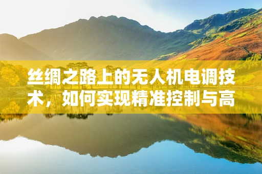 丝绸之路上的无人机电调技术，如何实现精准控制与高效能？
