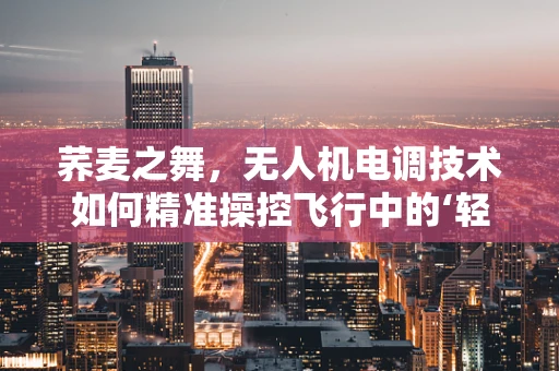 荞麦之舞，无人机电调技术如何精准操控飞行中的‘轻盈舞者’？