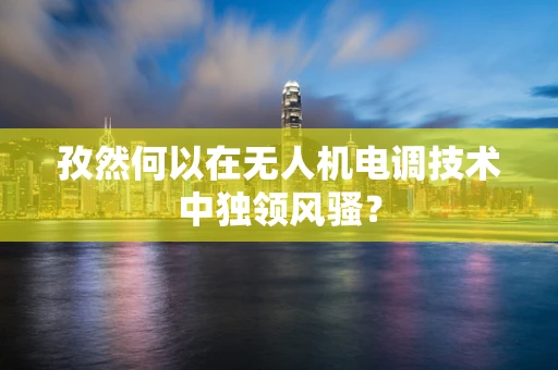 孜然何以在无人机电调技术中独领风骚？