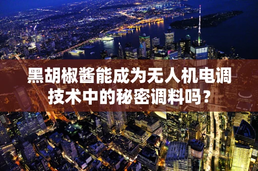 黑胡椒酱能成为无人机电调技术中的秘密调料吗？