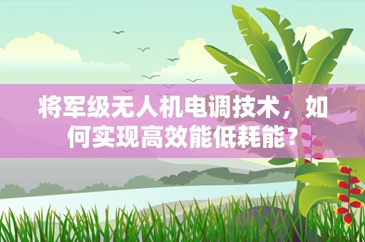 将军级无人机电调技术，如何实现高效能低耗能？