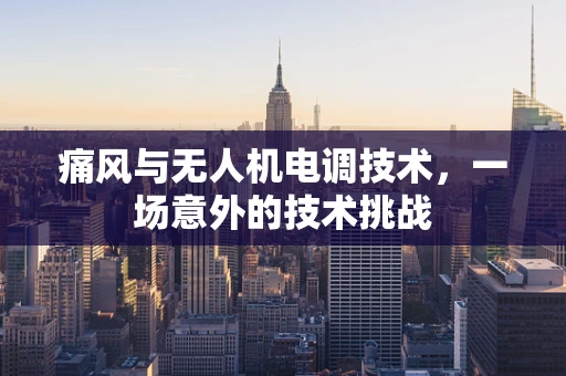 痛风与无人机电调技术，一场意外的技术挑战