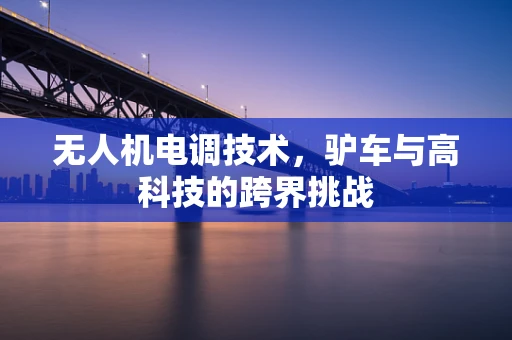无人机电调技术，驴车与高科技的跨界挑战